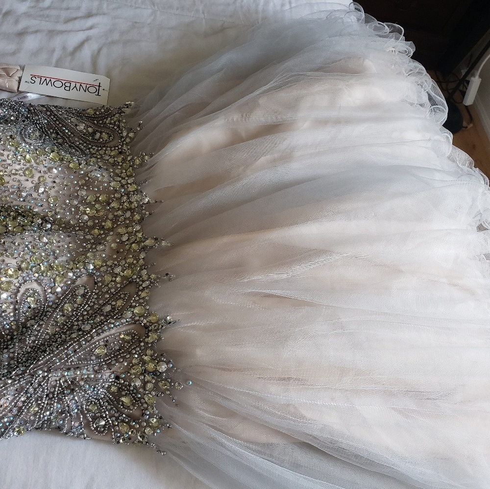 Dress Tony bowls